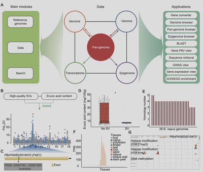 Overview of BnaOmics and its use in data mining